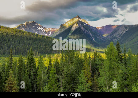 Gamme Flathead, Clark, Région de l'extrême sud-est de la Colombie-Britannique, Canada Vue sud de la sauge FSR Flathead Banque D'Images