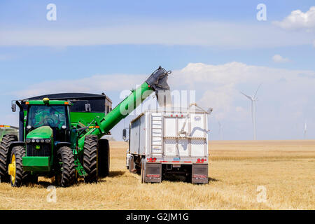 Un homme conduisant un tracteur John Deere et Brent le chariot à décharge dans un blé semi truck dans l'Oklahoma, USA. Banque D'Images