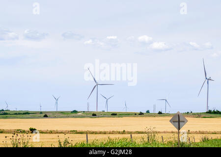 Une ferme éolienne et champ de blé mûr pour la récolte de l'Oklahoma, USA. Banque D'Images