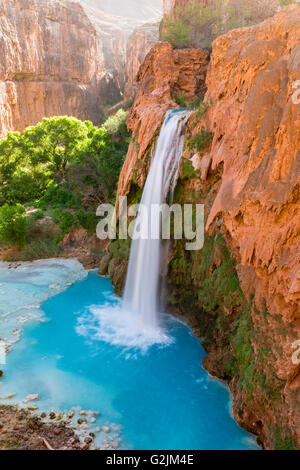 Havasu Falls plonge dans un fond bleu-vert, piscine avec Cataract Canyon derrière éclairées par le soleil du matin, dans le Grand Canyon Banque D'Images