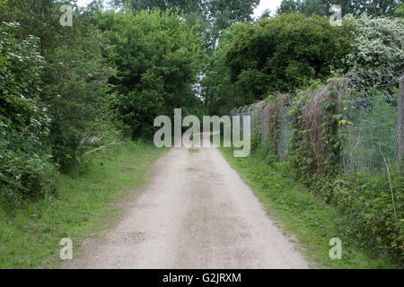 Route de terre en dehors d'un traitement des eaux usées à Abingdon, Oxfordshire. La route mène à un allotissement site. Banque D'Images