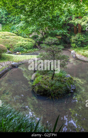 - Meigetsuin Meigetsuin Pond Garden, également connu sous le Ajisaidera ou temple d'hortensias Banque D'Images