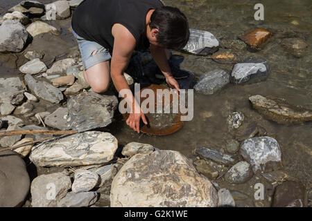 Pépite d'exploitation minière depuis la rivière, avec un pan d'or, et de trouver quelques big gold nugget. Banque D'Images