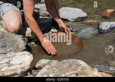 Pépite d'exploitation minière depuis la rivière, avec un pan d'or, et de trouver quelques big gold nugget. Banque D'Images