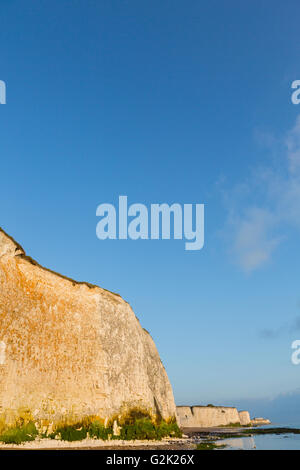 Broadstairs, UK. Vue vers le haut vers les grandes falaises de craie contre le ciel bleu. Banque D'Images