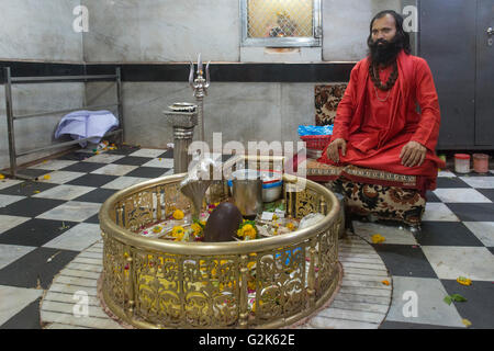 Prêtre avec Cobra, Lingam et de fleurs au Temple de Mahakaleshwar Mandir, Shahi Snaan (Royal Immersion Sainte), Ujjain Kumbh Mela 20 Banque D'Images