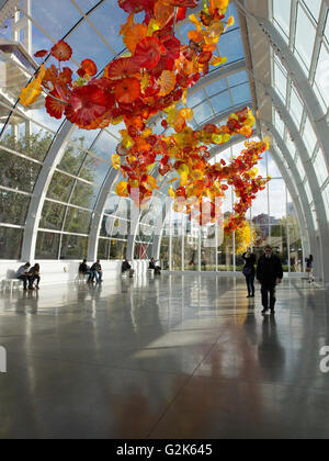 Sculpture en verre suspendu par Dale Chihuly à l'intérieur de la serre au jardin et musée de verre Chihuly à Seattle, Washington Banque D'Images