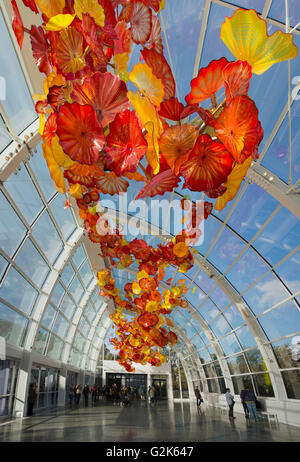 Sculpture en verre suspendu par Dale Chihuly à l'intérieur de la serre au jardin et musée de verre Chihuly à Seattle, Washington Banque D'Images