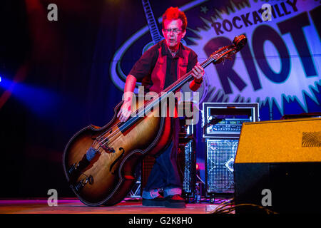 Vigevano Italie. 02 juillet 2011. Le groupe américain Brian Setzer Rockabilly Riot et l'effectue en direct sur scène à Castello Sforze Banque D'Images