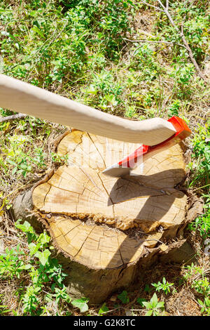 Ax coincé dans une souche d'arbre Banque D'Images