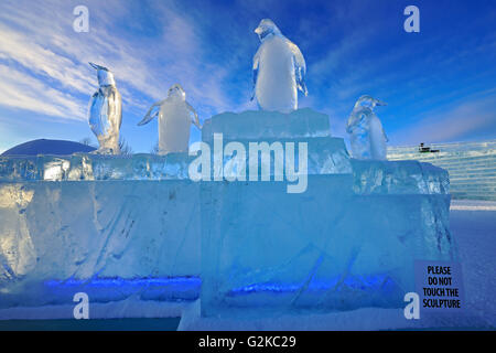 Sculpture de Glace. La grande glace. Janvier 2016. Winnipeg Manitoba Canada Banque D'Images
