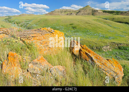 Les badlands de Killdeer (Prairies) L'Édifice de l'est le parc national des Prairies en Saskatchewan Canada Banque D'Images