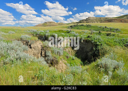 Les badlands de Killdeer (Prairies) L'Édifice de l'est le parc national des Prairies en Saskatchewan Canada Banque D'Images