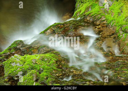 Détail de Dickson Falls Parc national fundy Nouveau-Brunswick Canada Banque D'Images