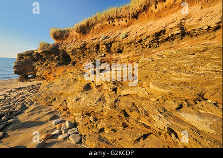 Littoral longeant le détroit de Northumberland au lever du soleil Cap Lumière Nouveau-Brunswick Canada Banque D'Images