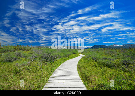 Promenade à l'étang Western Brook Parc national du Gros-Morne du Canada Terre-Neuve et Labrador Banque D'Images