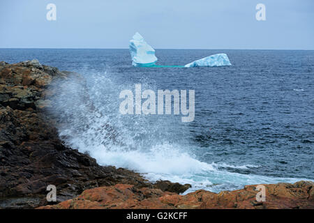 Vagues se briser et les icebergs flottant dans l'Océan Atlantique du cap Bonavista à Terre-Neuve et-Labrador Canada Banque D'Images