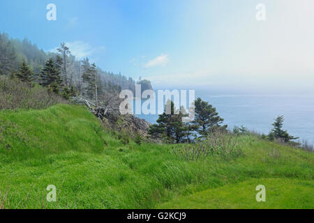 Le brouillard le long du littoral de la baie de Fundy Cape d'Or Nova Scotia Canada Banque D'Images