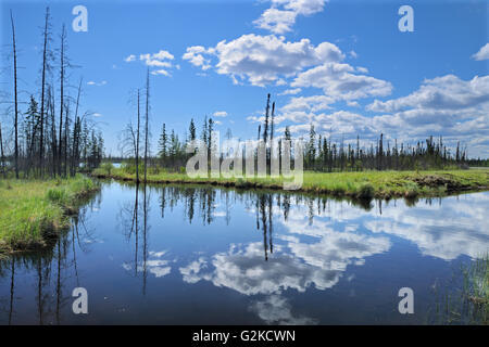 Cumulus se reflète dans la route de Yellowknife Territoires du Nord-Ouest Canada Banque D'Images