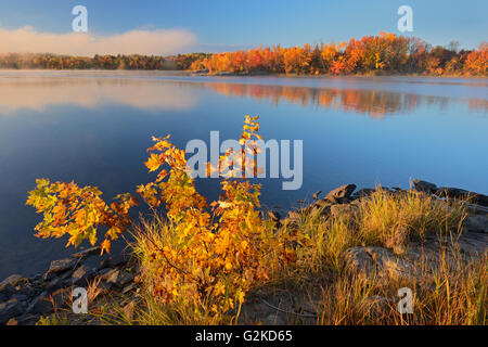 Vermilion River en automne avec le Corégone brouillard Ontario Canada Banque D'Images