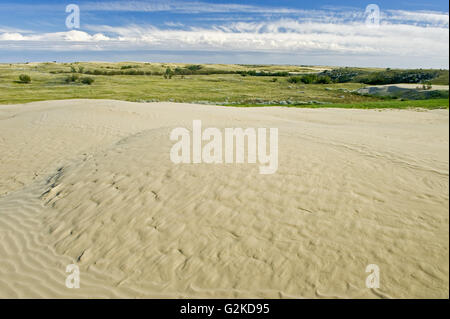 Sand dunes Great Sand Hills Saskatchewan Canada Banque D'Images