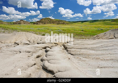 Buttes dans badlands de Killdeer. L'Édifice de l'Est. Le parc national des Prairies en Saskatchewan Canada Banque D'Images