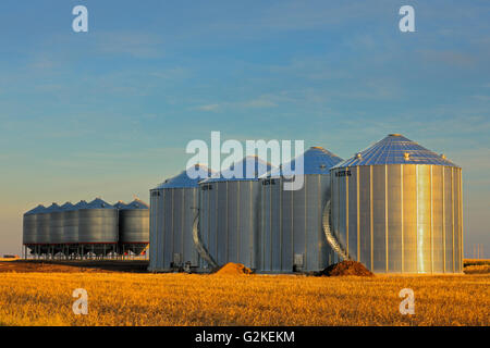 Les cellules à grains Pasqua Saskatchewan Canada Banque D'Images