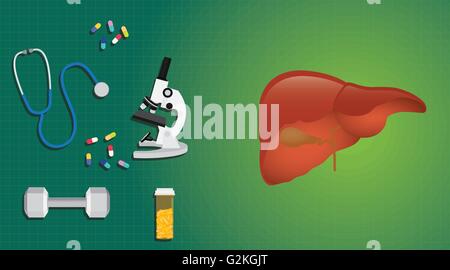 Foie en santé concept avec dossier médical médecine science Illustration de Vecteur