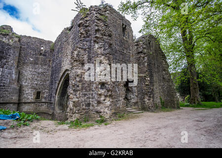 Les ruines de Whalley Abbey dans le Lancashire, Whalley Abbey est une ancienne abbaye cistercienne Banque D'Images