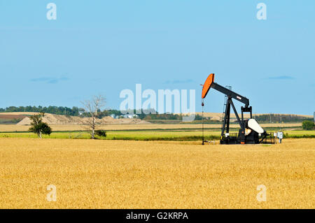 Jack la pompe à huile et du blé de la Saskatchewan Canada Carlyle Banque D'Images