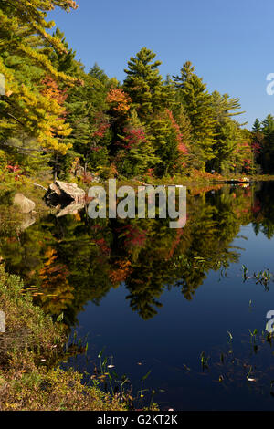 Un calme matin d'automne par un lac miroitant sous les feuilles colorées, Haliburton, Ontario, Canada Banque D'Images