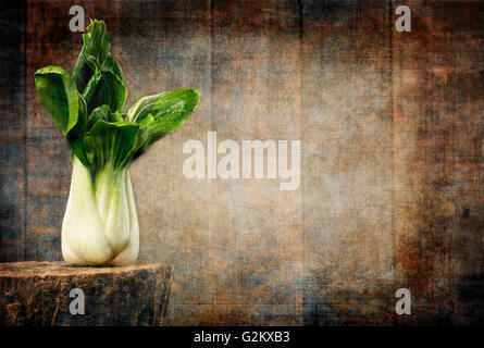 Petits Bok Choy sur bois Stump Banque D'Images