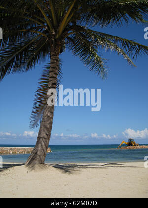 Beau Soleil, plage des Caraïbes chaud allumé sable doré et ciel dramatique, de l'hôtel Decameron, Runaway Bay, avec cocotiers Banque D'Images