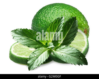 Ensemble de la chaux et de tranches de lime avec des feuilles de menthe. Ingrédients pour le Mojito. Chemins de détourage pour les matériaux composites et l'ombre, infinite dept Banque D'Images