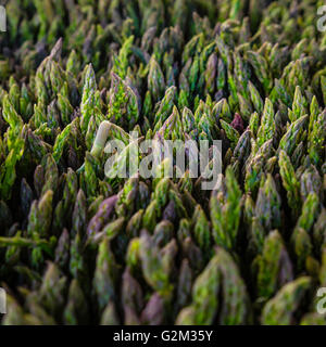 Asperges fraîches bio au marché des fermiers debout en bottes juste pris ce matin et prêt pour votre table ce soir Banque D'Images