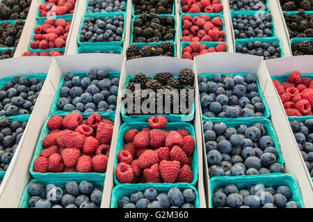 Petits fruits frais biologiques au marché de fermiers débordant de douces saveurs de l'été. Ils Bet être mangé sur le chemin du retour ! Banque D'Images
