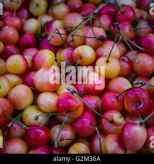 Cerises biologiques frais mûrs au Farmers Market Banque D'Images