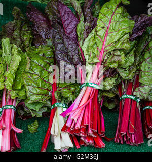 La Bette à carde colorées au Farmers Market Banque D'Images