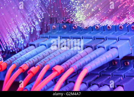 Server avec des câbles à fibres optiques dans le centre de données Banque D'Images