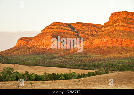 Rawnsley Bluff (partie de Wilpena Pound) dans le parc national de Flinders Ranges. Banque D'Images