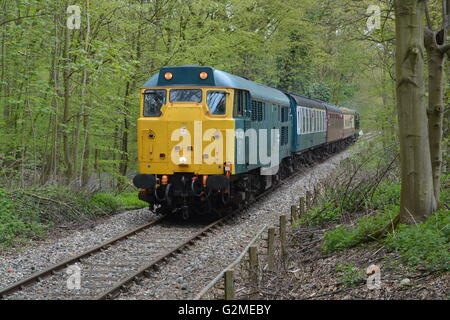 La classe 31 31438 (D5557) traverse la forêt d'Epping à Epping au cours d'une soirée de gala sur le chemin de fer d'Epping Ongar Banque D'Images