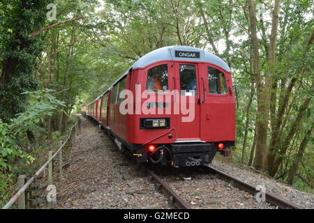 Les Trains du patrimoine Cravens vintage se trouve dans la forêt d'Epping sur le RAP, à 100 mètres de la station de métro Epping court. Banque D'Images