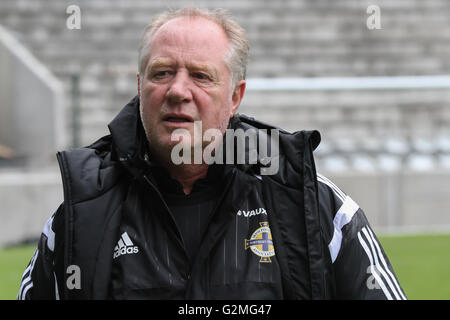 Belfast, le 26 mai 2016. L'Irlande du Nord v Belarus (séance de formation). L'Irlande du Nord assistant manager Jimmy Nicholl prenant part à la session à la Stade National de Football à Windsor Park, Belfast. Banque D'Images