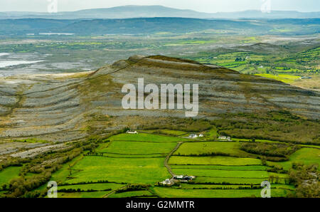 Vue aérienne, Burren, les verts pâturages avec des vaches et des moutons, réserve naturelle, le calcaire, la craie, la formation de Mullaghmore Burren Comté C Banque D'Images