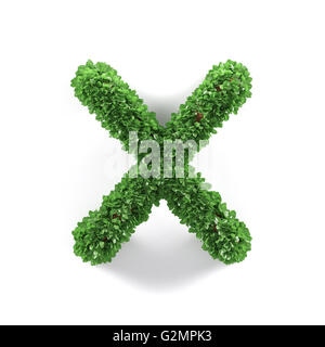 Feuilles vert écologie X alphabet lettre font isolé sur fond blanc. Le rendu 3D Banque D'Images