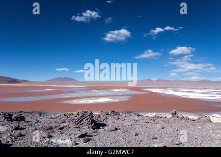 La Laguna Colorada avec de l'eau rouge dû à haut contenu d'algues à Uyuni, Lipez, Bolivie Banque D'Images