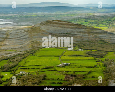 Vue aérienne, Burren, les verts pâturages avec des vaches et des moutons, réserve naturelle, le calcaire, la craie, la formation de Mullaghmore Burren Comté C Banque D'Images