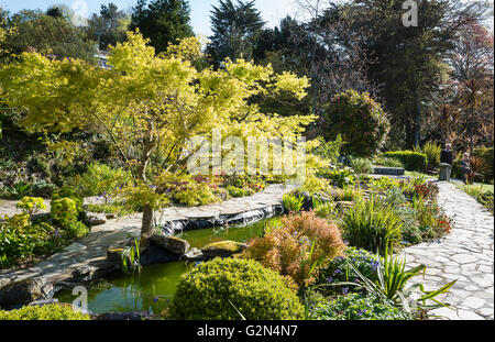 Jardin de l'eau dans l'enceinte de l'hôtel Meudon à Cornwall Banque D'Images