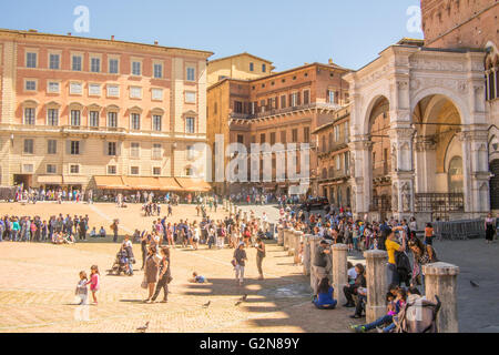 "Il Campo", une cité médiévale Piazza à Sienne, Toscane, Italie Banque D'Images