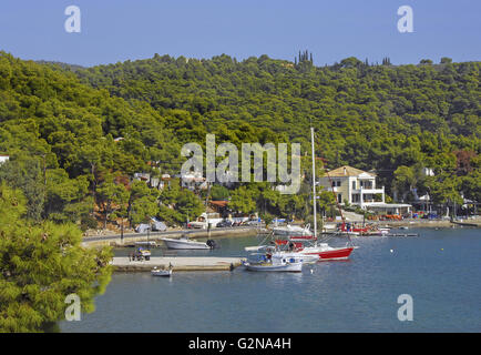 Fermer vue de Megalo Neorio plage à l'île de Poros, dans le golfe Saronique, près de Piraeus, GRÈCE Banque D'Images